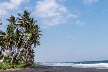 Manzara güzel avuç siyah kum plaj. Bali Adası.