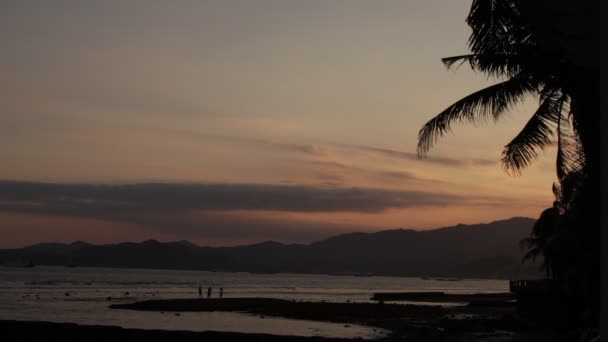 Zonsopgang boven tropisch eiland strand en palm bomen, Bali eiland. — Stockvideo