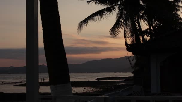 Zonsopgang boven tropisch eiland strand en palm bomen, Bali eiland. — Stockvideo