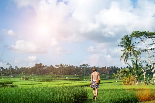 Mujer joven viajando por Asia, caminando con mochila de ratán en arrozales durante la temporada de lluvias en Bali, sensación de libertad, explorar . — Foto de Stock