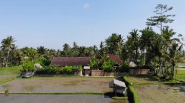 Bali, Endonezya - Eylül 10, 2018:4 k hava dron video bir pirinç terasında güzel manzaralı lüks Villa.