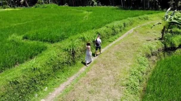 4K Воздушный дрон выстрел туристов в отпуске прогулки по тропинке в рисовых рисовых рисовых рисовых полей террасы на острове Бали . — стоковое видео