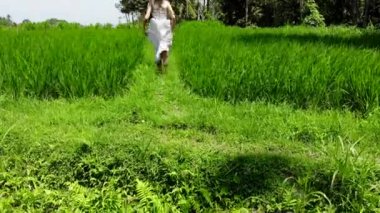 4 k hava uçak atış güzel genç kadının beyaz pirinç sahada çalışan elbise. Bali Adası. Endonezya.