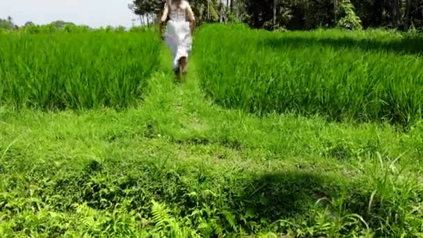 एक चावल के मैदान पर चल रहे सफेद पोशाक में सुंदर युवा महिला का 4K हवाई ड्रोन शॉट। बाली द्वीप। इंडोनेशिया . — स्टॉक वीडियो