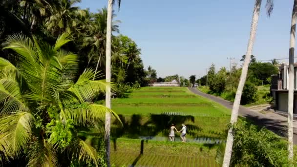 4K Aerial drone shot of tourists on vacation walking the path in rice paddy terrace fields on Bali island. — Stock Video