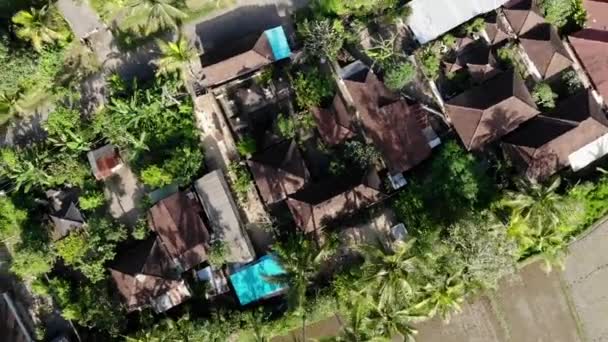 Imágenes aéreas de drones de alta definición de volar sobre campos de arroz en el área de Ubud, isla tropical de Bali . — Vídeo de stock