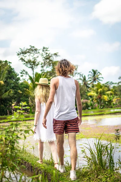 Una joven pareja de luna de miel caminando entre arrozales. Hermoso viaje de recién casados a la isla de Bali, Indonesia. Naturaleza, verano, verde, brillante . — Foto de Stock