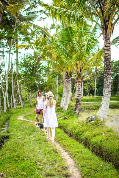 Mladí třešinka procházky mezi rýžovými poli. Krásný výlet newleds na ostrově Bali, Indonésie. Příroda, léto, zelené, světlé. — Stock fotografie