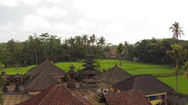 Vídeo volador aéreo 4K del templo balinés entre campos de arroz. Isla tropical de Bali. Hermoso templo . — Vídeos de Stock