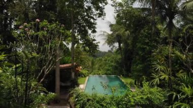 4k hava sonsuzluk yüzme havuzu Lüks Villa ormanda video uçan. Bali Adası.