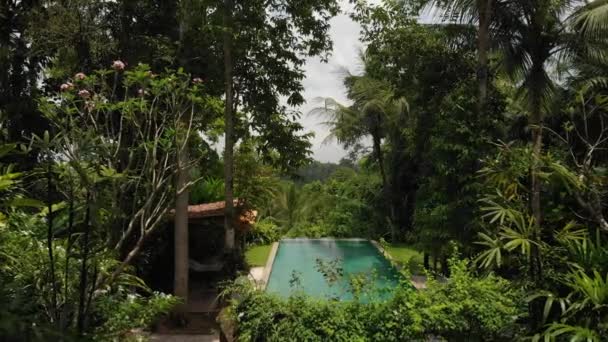 Vídeo de vuelo aéreo de 4K de la piscina infinita en villa de lujo en la selva. Isla de Bali . — Vídeos de Stock