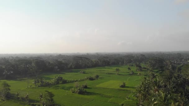 4K drone aereo video volante di paesaggio tropicale con risaie. Isola di Bali . — Video Stock