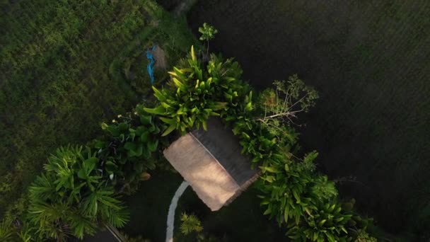 BALI, INDONESIA - 30 SETTEMBRE 2018: Vista aerea 4K della villa tropicale di lusso sull'isola di Bali. Indonesia . — Video Stock