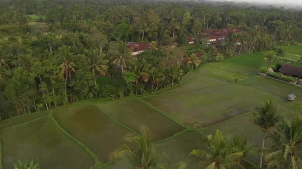 4k letecké létající video z rainforest džungle krajina při západu slunce. 4 k drone záběrů bez úprav. Ostrov Bali. — Stock video