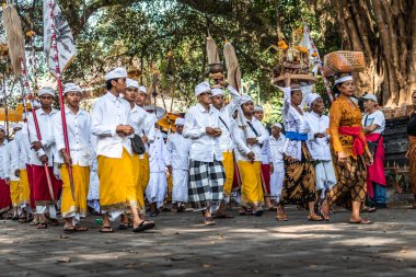 Bali, Endonezya - 25 Eylül 2018: Bali erkeklerde Tirta Empul Tapınağı büyük bir törenle geleneksel kıyafet.