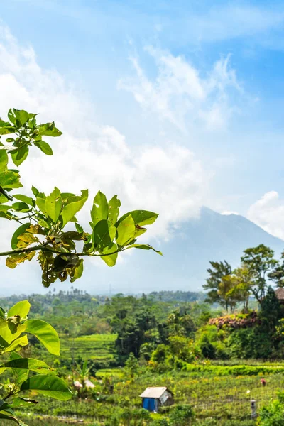 Hermoso paisaje verde del volcán Agung en la isla de Bali . — Foto de Stock