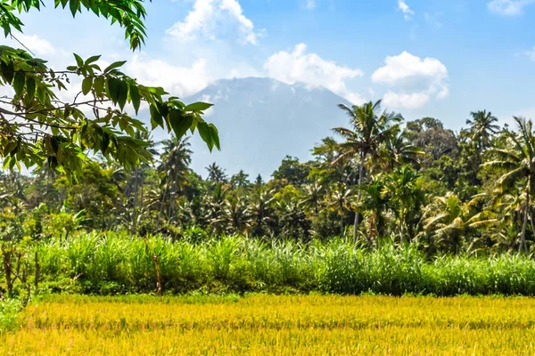 Hermoso paisaje verde del volcán Agung en la isla de Bali . — Foto de Stock