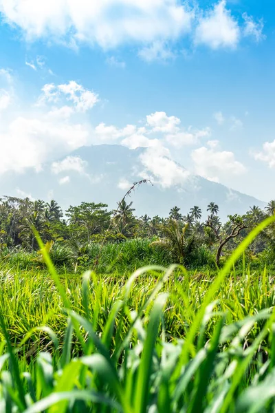 Hermoso paisaje verde del volcán Agung en la isla de Bali . — Foto de Stock