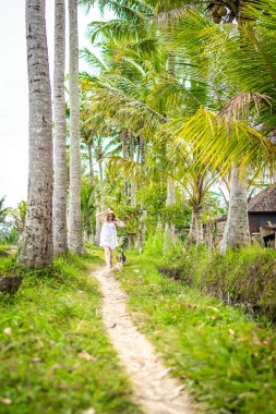 Pirinç tarlaları arasında tropikal park Bali adasında sevimli beagle köpek ile çalışan genç kadın. Endonezya.