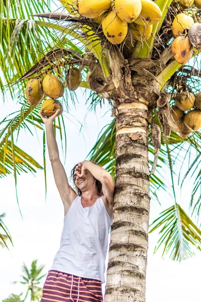 Young european man climbing on coconut palm. Bali island. — Stock Photo, Image