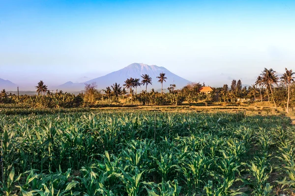 Monte Agung paisaje. Volcán Santo Agung. Isla de Bali . — Foto de Stock