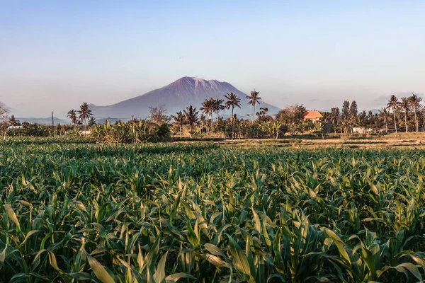 Mount Agung manzara. Kutsal volkan Agung. Bali Adası.