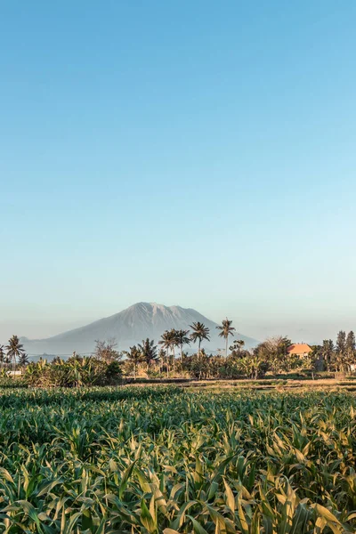 Monte Agung paisaje. Volcán Santo Agung. Isla de Bali . — Foto de Stock