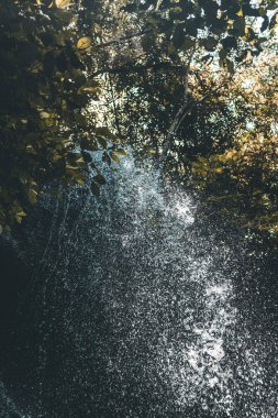 Şelale orman yağmur ormanlarında, Bali Adası.