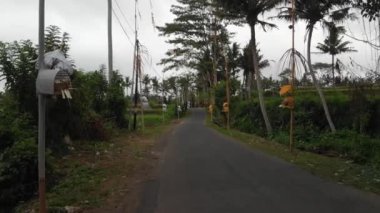 Bali dili Caddesi'nin dron video geleneksel tören süslemeleri ile uçan 4k. Bali Adası.