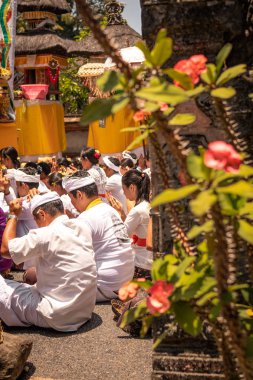 Bali, Endonezya - 3 Ekim 2018: Desa Pejeng geleneksel törenle Bali insanlar.
