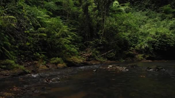 4K vuelo drone video sobre el río de montaña en la selva de la isla de Bali, Indonesia. Viajando por Asia. Bosque lluvioso profundo, agua corriente, naturaleza salvaje . — Vídeo de stock