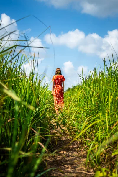 長い緑の草と歩道の上を歩く赤いドレスの若い女性。バリ島. — ストック写真