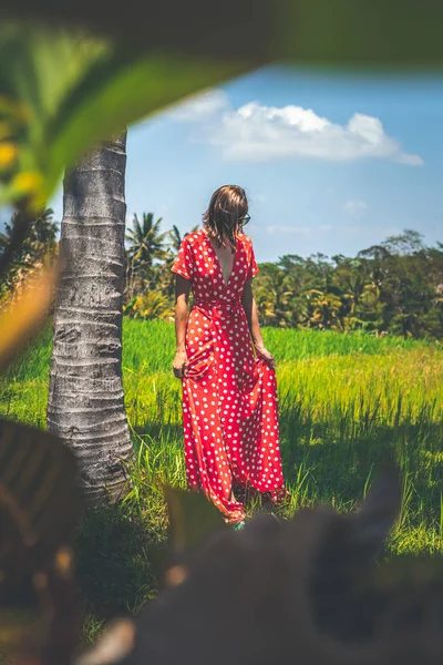 Hombre tomando la foto de la mujer en vestido largo rojo en la naturaleza de la isla de Bali. Países Bajos . — Foto de Stock