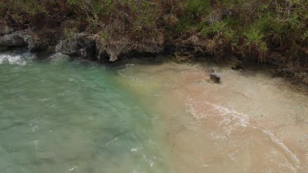 4k antenn drönare video av vulkaniska stenar på stranden, vågorna kraschar på stenar. Ön Bali. — Stockvideo