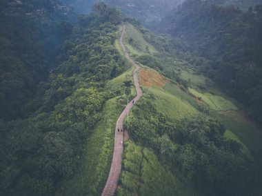 Campuhan Ridge yürüyüş, doğal yeşil vadi Ubud Bali hava resmi. Uçak fotoğraf.
