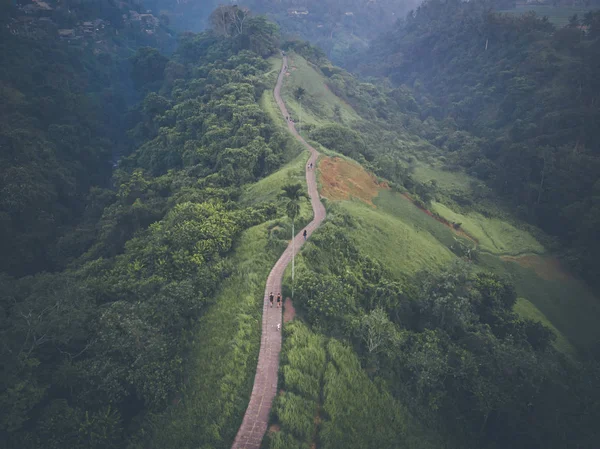 Campuhan Ridge yürüyüş, doğal yeşil vadi Ubud Bali hava resmi. Uçak fotoğraf.