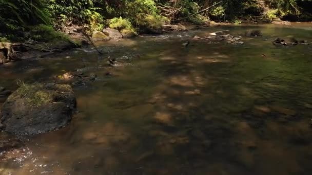 バリ島、インドネシアのジャングルの中で山川上無人ビデオを飛んで 4 k。アジアを旅行します。深い熱帯雨林、流水、野生の自然. — ストック動画