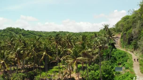 Wspaniały film antenowe drone tropikalnej plaży na wyspie Bali. — Wideo stockowe