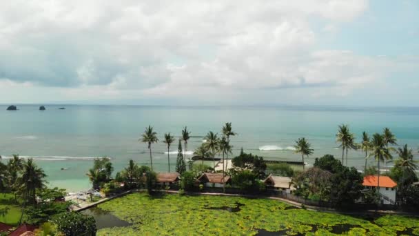 Impresionante video aéreo del lago y campo de Lotus en una isla tropical de Bali, Indonesia. Hermosa escena aérea de lotos . — Vídeos de Stock