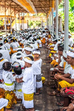Bali, Endonezya - 9 Ekim 2018: Bali çocuk kültür töreni, Ubud üzerinde geleneksel giysiler içinde.