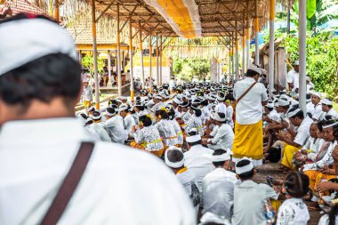 Bali, Endonezya - 9 Ekim 2018: Ubud, Pejeng büyük bir törenle üzerinde dua Bali insanlar.