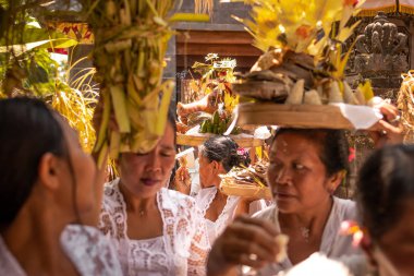Bali, Endonezya - 3 Ekim 2018: Balili Kadın köy töreni geleneksel giysiler içinde.