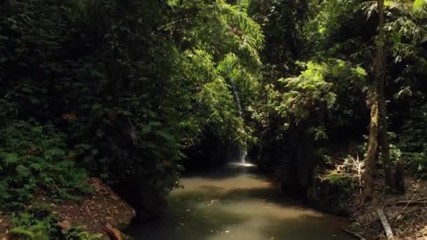 4K vídeo volador de cascada en la selva de la isla de Bali . — Vídeo de stock