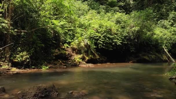 バリ島、インドネシアのジャングルの中で山川上無人ビデオを飛んで 4 k。アジアを旅行します。深い熱帯雨林. — ストック動画