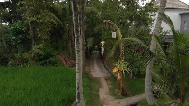 4k flygande drönare video av balinesisk street med traditionell ceremoni dekorationer. Ön Bali. — Stockvideo