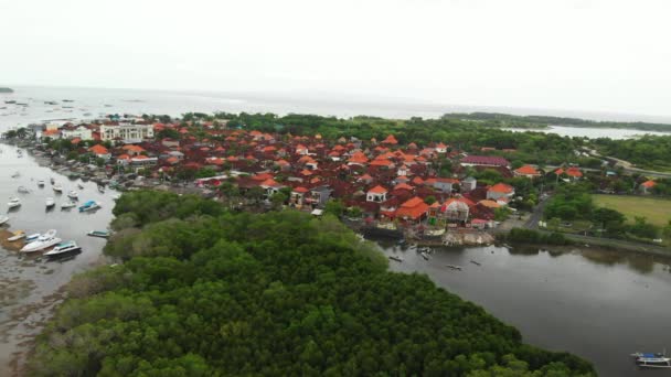 バリ島、インドネシアのマングローブの空中ビュードローンビデオ。Serangan島. — ストック動画