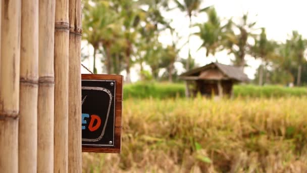 De handen van de vrouw met gesloten teken boord op een achtergrond van de tropische natuur. Bali eiland. — Stockvideo