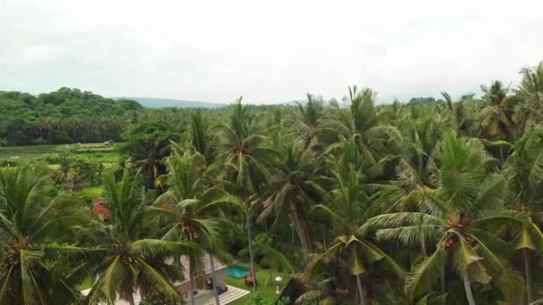 Вид з тропічних незаймані пляжі з чорним піском. Острів Балі, Індонезія. — стокове відео