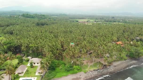 Veduta Aerea Della Spiaggia Tropicale Vergine Con Sabbia Nera Isola — Video Stock