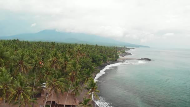 BALI, INDONÉSIE - 29 DÉCEMBRE 2018 : Vue aérienne de la plage vierge tropicale avec sable noir . — Video